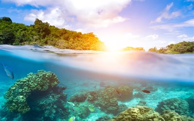 tropische insel, über und unter wasser, unterwasserwelt, ozean, abend, sonnenuntergang, paradies, sommerreisen, inseln, palmen, entspannung