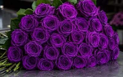 rosas violetas, 4k, bokeh, ramo de rosas, hermosas flores, fondo con rosas, flores violetas, rosas