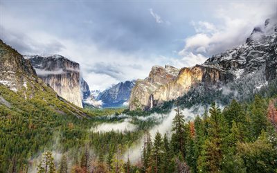 Amerika, Yosemite Vadisi, orman, Yosemite Ulusal Parkı, Kaliforniya, ABD