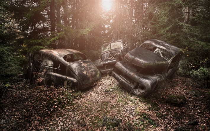 abandoned cars, forest, landfill, rusty cars, rusty car bodies, car dump, old cars