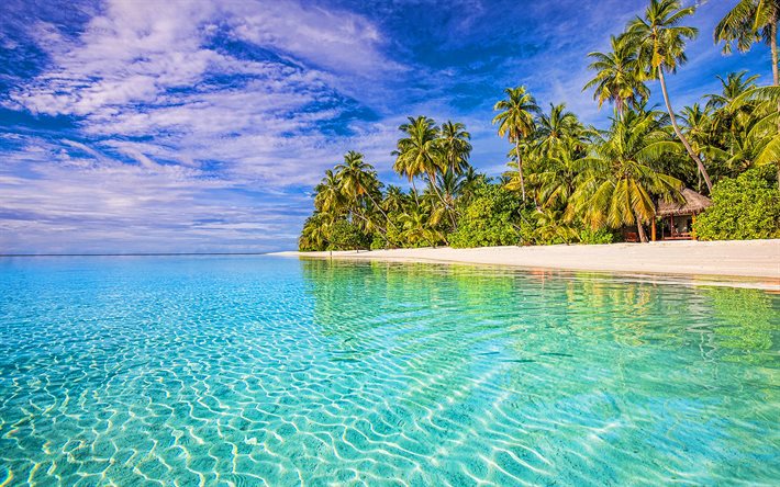 maldivas, verano, islas tropicales, palmeras, océano índico, trópicos, paraíso, naturaleza hermosa, océano