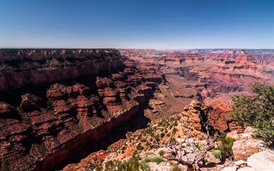 the grand canyon, rock, berg, colorado, arizona, usa