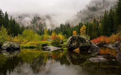mountains, autumn, the lake, dense forest
