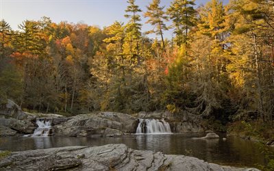cachoeira, rio, floresta de outono, outono, floresta