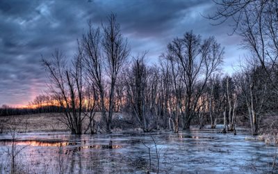 invierno, un lago congelado, por la noche, los árboles desnudos, paisaje de invierno