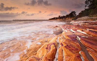 شاطئ صخري, الشاطئ, الصورة