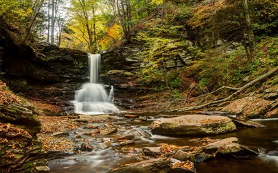 autumn, waterfall, forest, photos of waterfalls