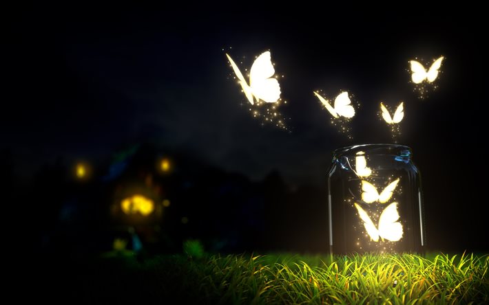 bank, nature, butterfly, light, graphics, grass, night