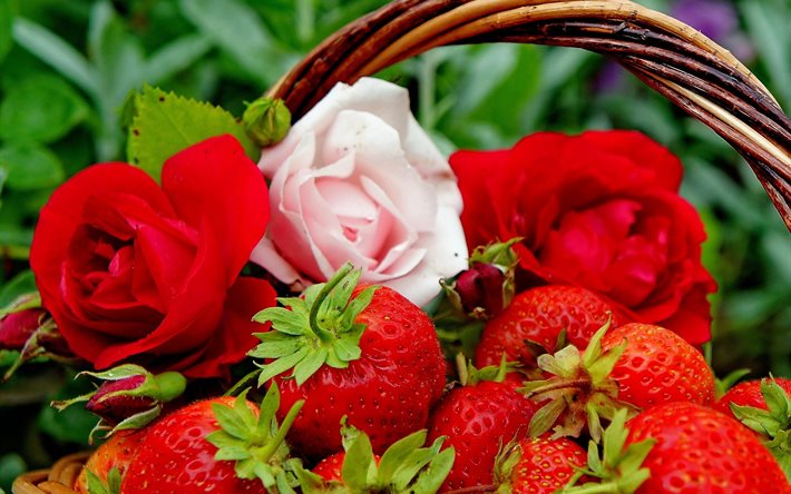 berries, summer, strawberry, flowers, nature, rose, basket