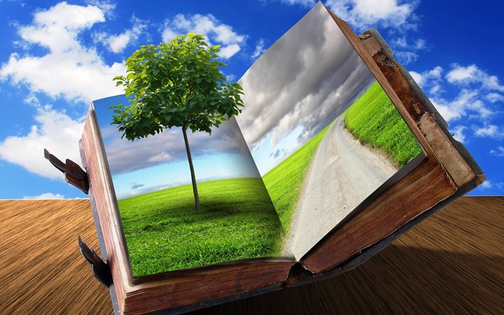 tree, road, field, book, creative, nature, graphics, the sky