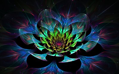 fractal, de flor, de abstracción, de gráficos, de lotus