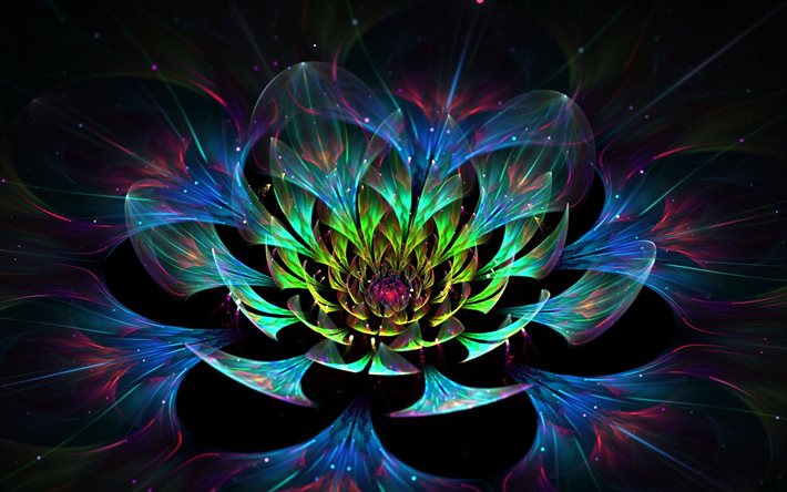 fraktal, blomma, abstraktion, grafik, lotus