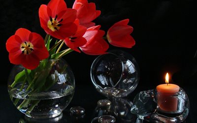 still life, flowers, vase, bouquet, tulips, candle