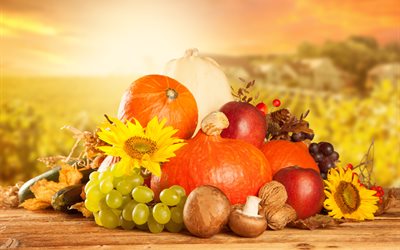 vegetables, berries, mushrooms, fruits, nuts, flowers, sunflower, nature, autumn