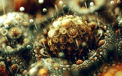 frattale, la figura e astrazione, luce, grafica, virus