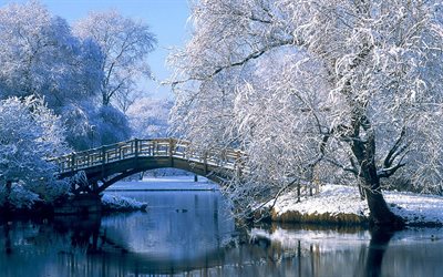 paisajes, invierno, nieve, parque, árboles, el puente de
