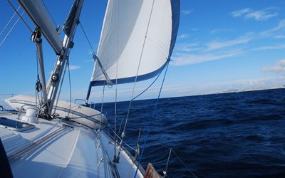 sail, board, yacht, sea, water, horizon