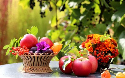 plum, vase, branches, apples, fruits, physalis, berries, fruit, bunches, table, greens, rowan, bush, nature, flowers