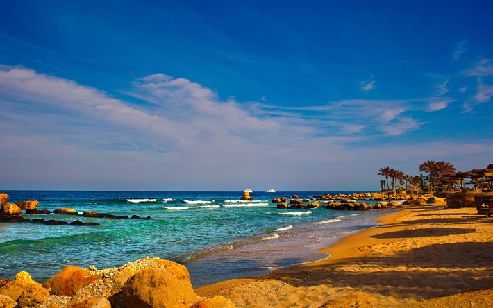 egypt, nature, landscape, sea, red, shore, stones, sand, palm trees
