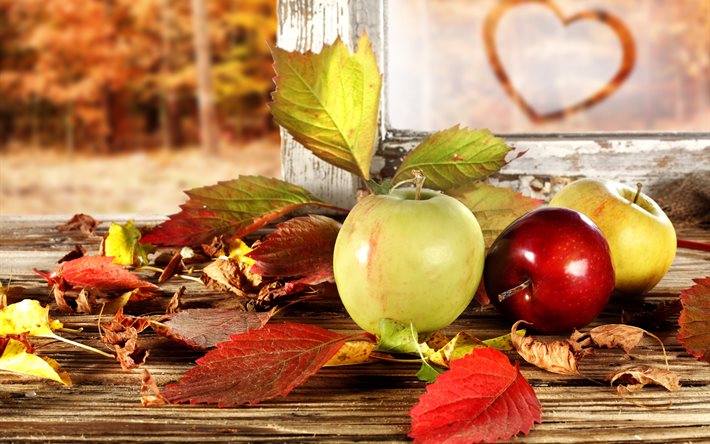 natureza, peitoril, janela, outono, quadro, folhas, maçãs, floresta, coração