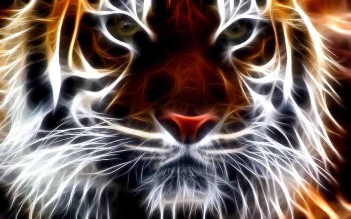animal, fractal, depredador, gráficos, tigre