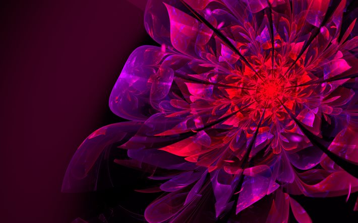 graphics, abstraction, flower, fractal