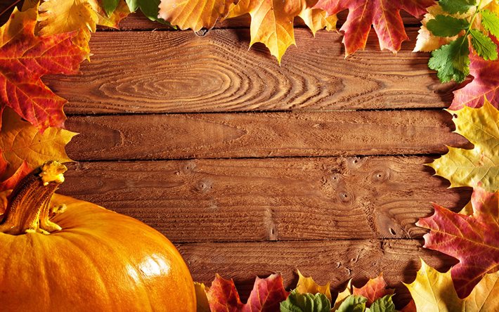 autumn, board, leaves, nature, maple, pumpkin, the fruit, vegetable, frame