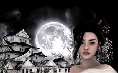 the house, asian, the moon, girl, graphics, night, art, sakura