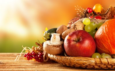 요리, 열매, 버섯, 과일, 수확, 야채, 가을, 머