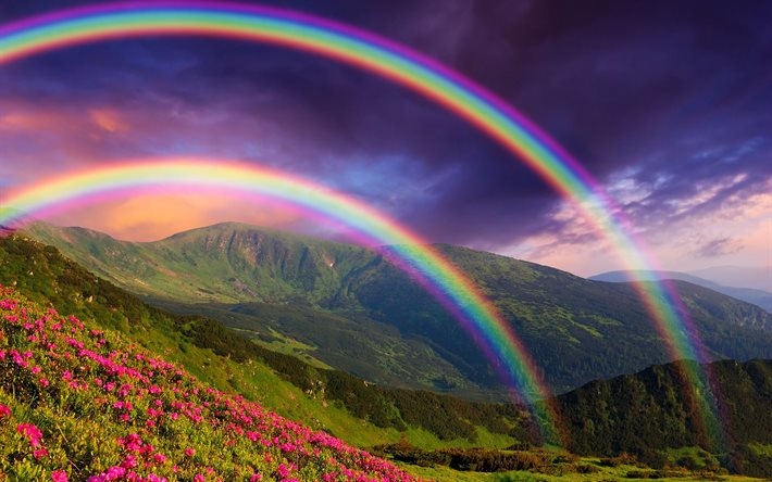 nature, landscape, mountains, hills, flowers, the sky, rainbow, pair