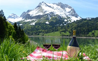 el vino, la bebida, botella, vasos, picnic, la comida, el agua, la hierba, los árboles, las montañas, el paisaje, la naturaleza, la servilleta
