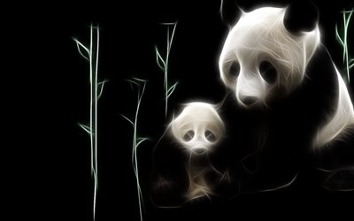 panda, karhu, kauha, karhut, eläin, fraktaali, grafiikka, bambu