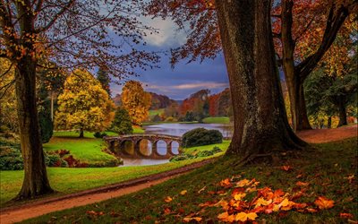 trees, leaves, landscape, alley, park, track, autumn, water, nature, the bridge