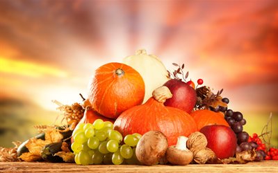 견과류, 점, 버섯, 열매, 바, 과일, 보, 야채, 가을, 선