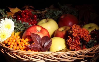 maçãs, bagas, frutas, espinheiro marítimo, kalina, folhas, cesta, flores, outono