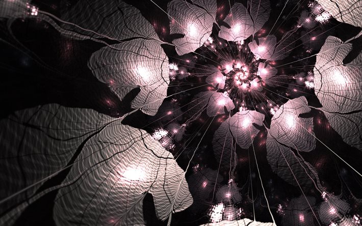 graphics, abstraction, fractal, figure, light, petals, rays, flower