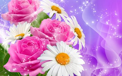 rose, chamomile, bouquet, flowers, background, graphics, sparks