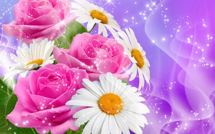 rosa, manzanilla, ramo de flores, flores, fondo, gráficos, chispas