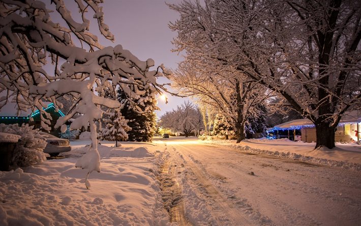 evening, winter, street, snow, landscape, trees, nature, home, road