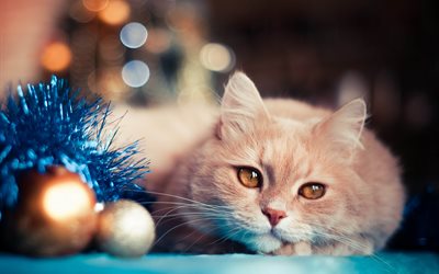 toys, new year, balls, holiday, tinsel, cat, bokeh