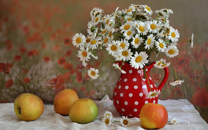 fruit, fruits, chamomile, flowers, apples, pitcher, fabric, still life, tulle