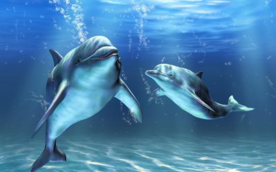 dolphins, pair, animals, water, graphics, bubbles