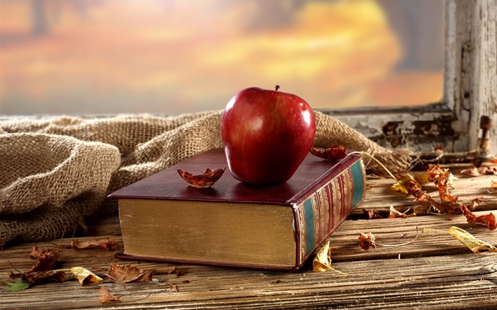 burlap, fabric, book, apple, sill, leaves, window, autumn