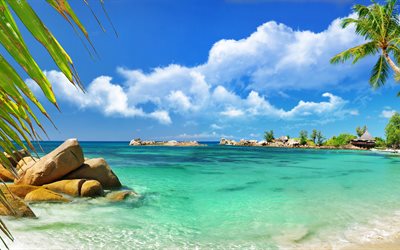 the sky, palm trees, shore, water, the ocean, panorama, landscape, nature, stones