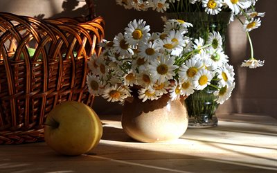 vases, flowers, chamomile, still life, basket, the fruit, fruit, apple