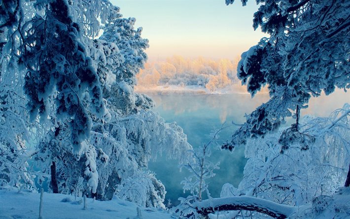 landscape, winter, nature, snow, frost, trees, water, the lake
