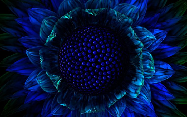 graphics, fractal, flower, sunflower
