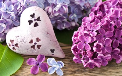 lilac, flowers, heart, figure