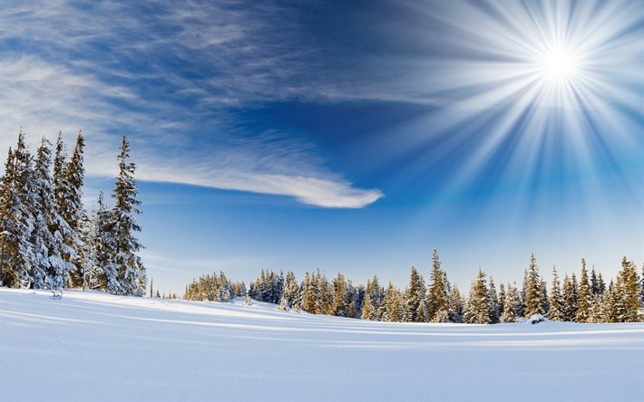 winter, snow, hills, landscape, trees, ate, the sun, rays