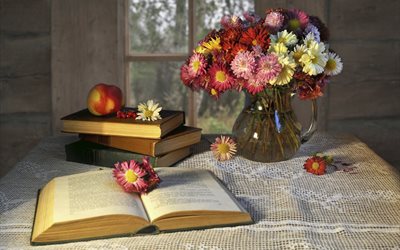 asters, flowers, pitcher, still life, books, window, table, hut, apple